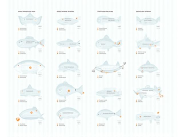 多種多様な淡水魚と海水魚がマトリックス状に配置され、それぞれに鉄魚界の釣具製品が紐付けられているインフォグラフィック。